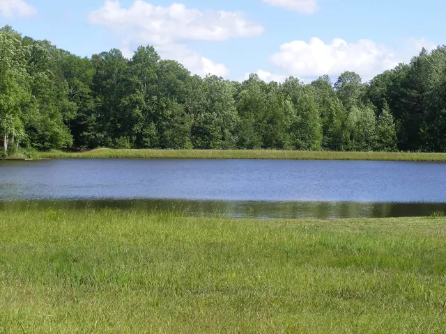 $162,000 | 62 Driftwood Road, Counce, TN 38326