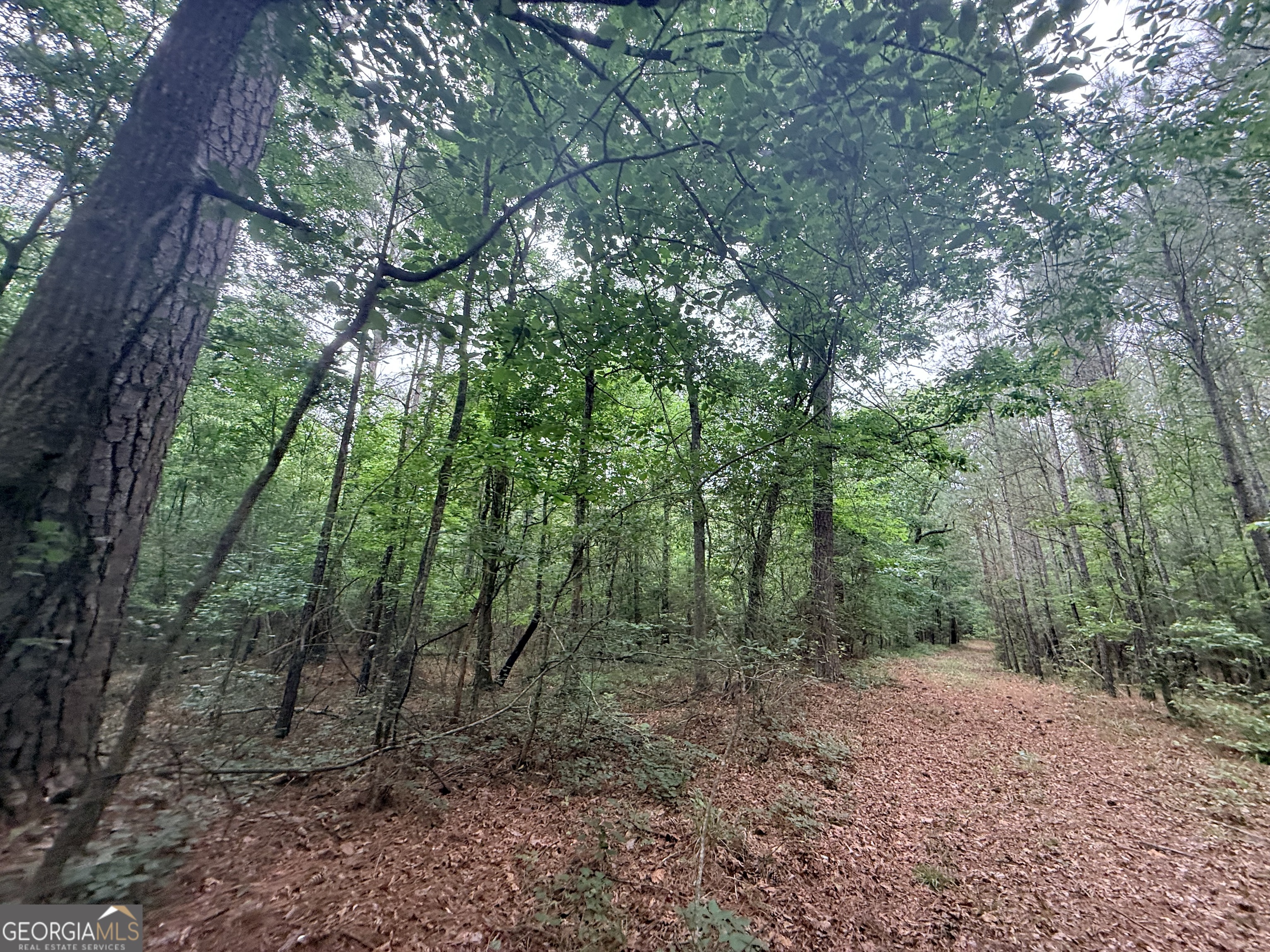1 Bethesda Church Road Lexington, GA 30648 - Photo 31 of 78