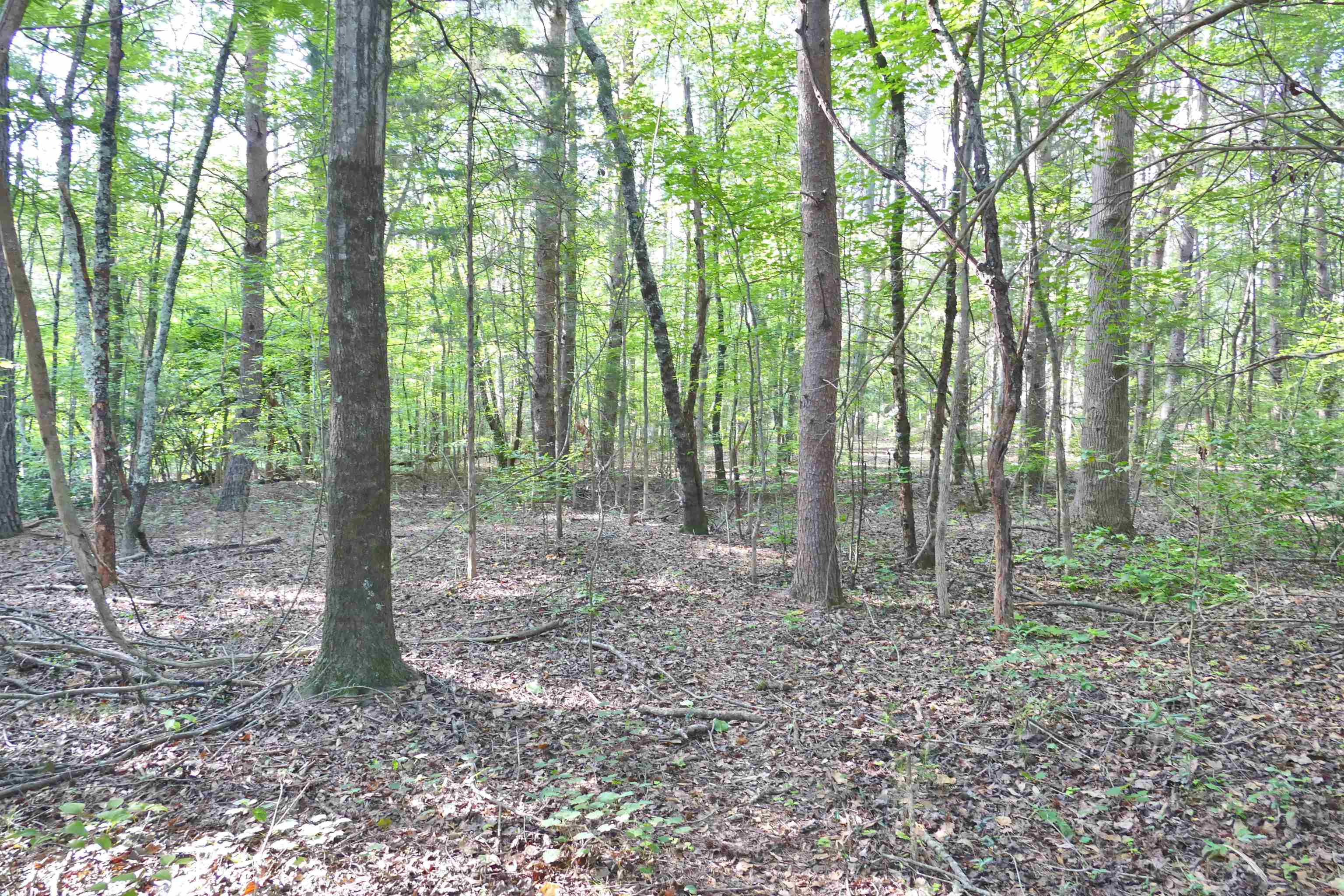 240 Coyl Road Gaffney, SC 29340 - Photo 4 of 13