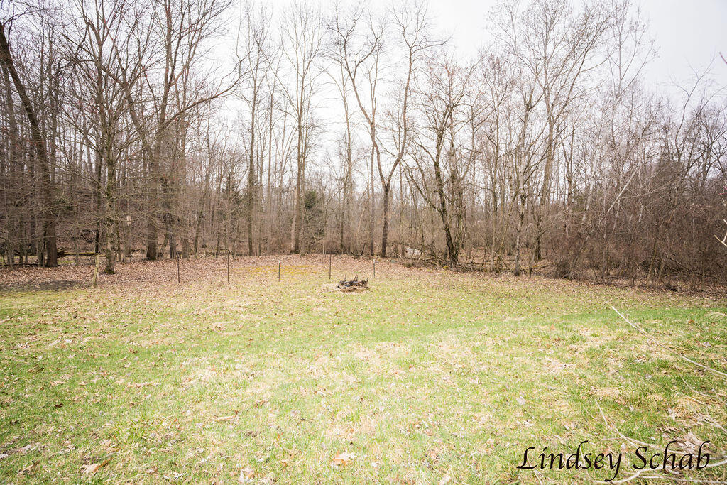 2299 Lyle Road Ionia, MI 48846 - Photo 5 of 47 DSC02222