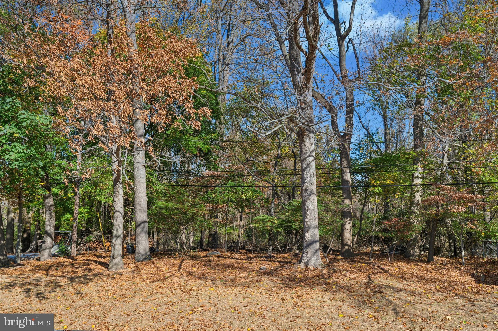 2012 Wildwood Drive Wilmington, DE 19805 - Photo 7 of 34