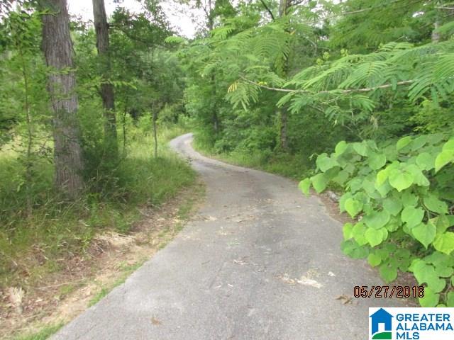 3595 Highway 144 Ragland, AL 35131 - Photo 35 of 35
