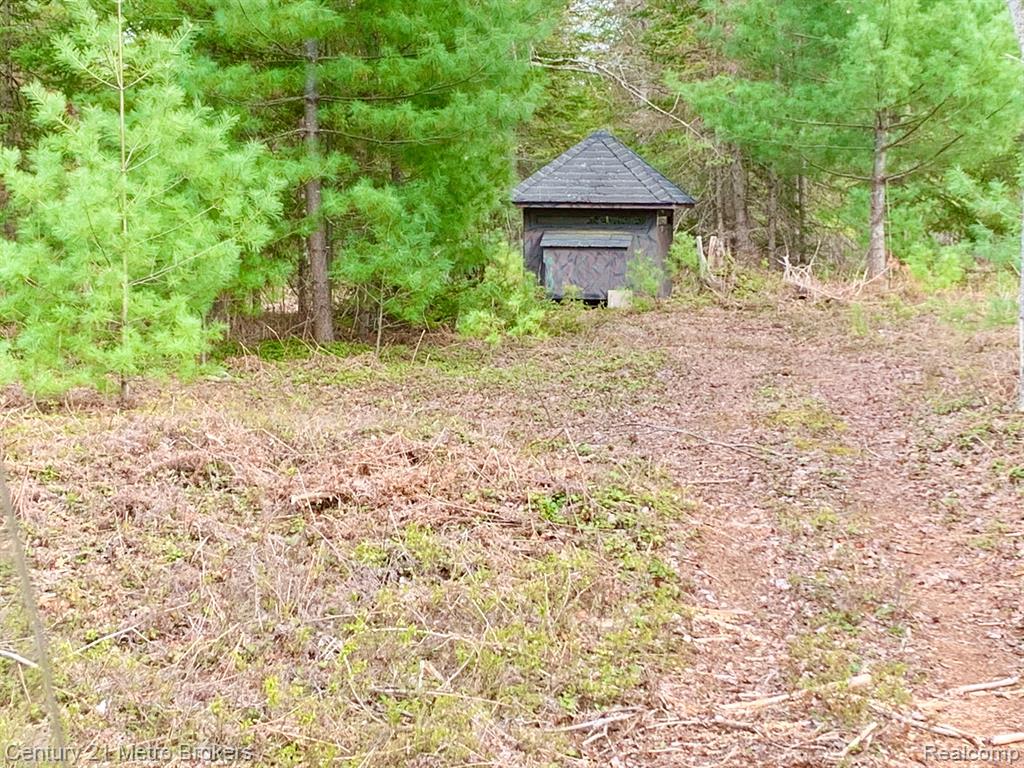 0 East Sugar River Road Alger, MI 48610 - Photo 10 of 50