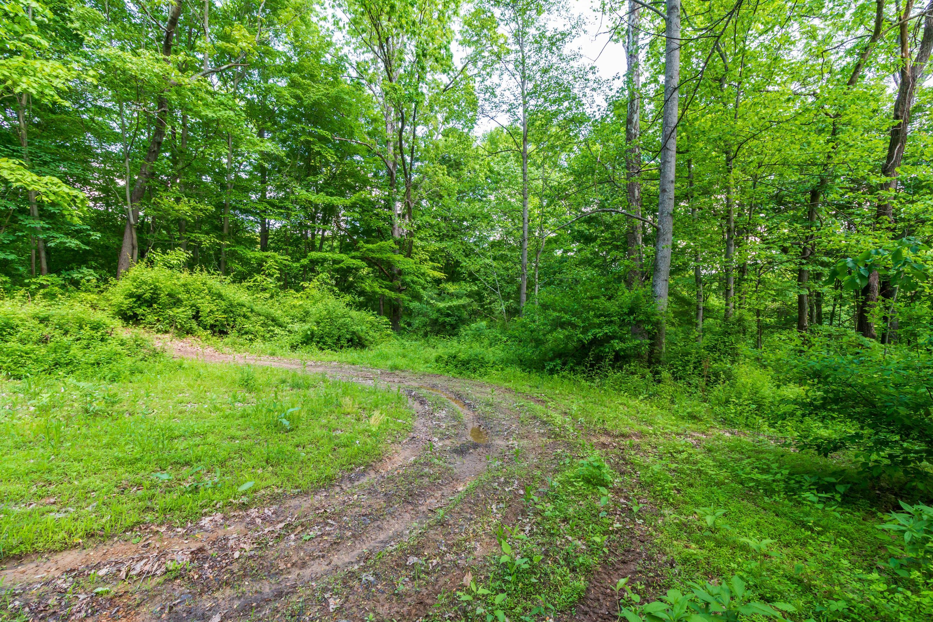 37950 Deible Road Logan, OH 43138 - Photo 39 of 40 Gallery Image 39