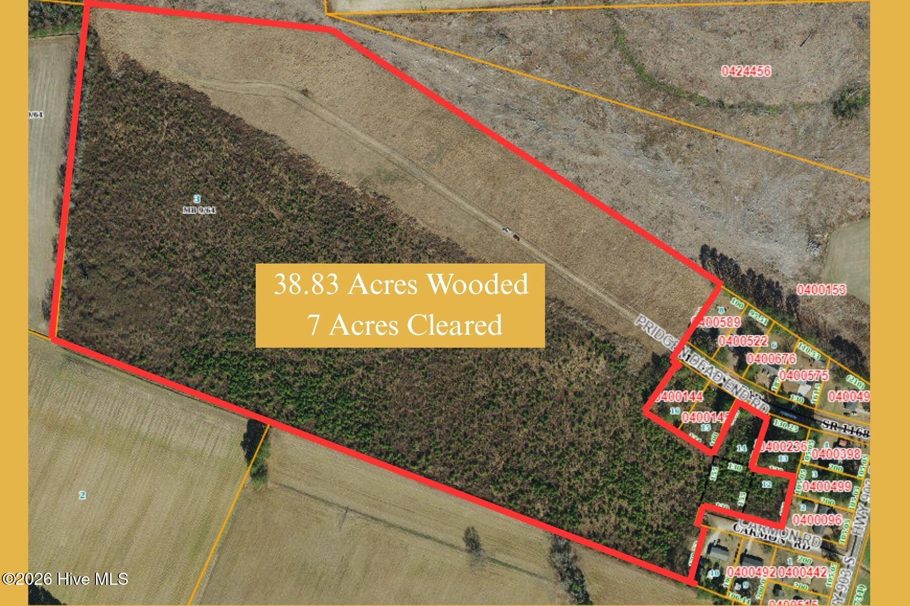 Tbd Pridgen Dead End Road La Grange, NC 28551 - Photo 1 of 4 38.83 Acres Wooded 7 Acres Cleared