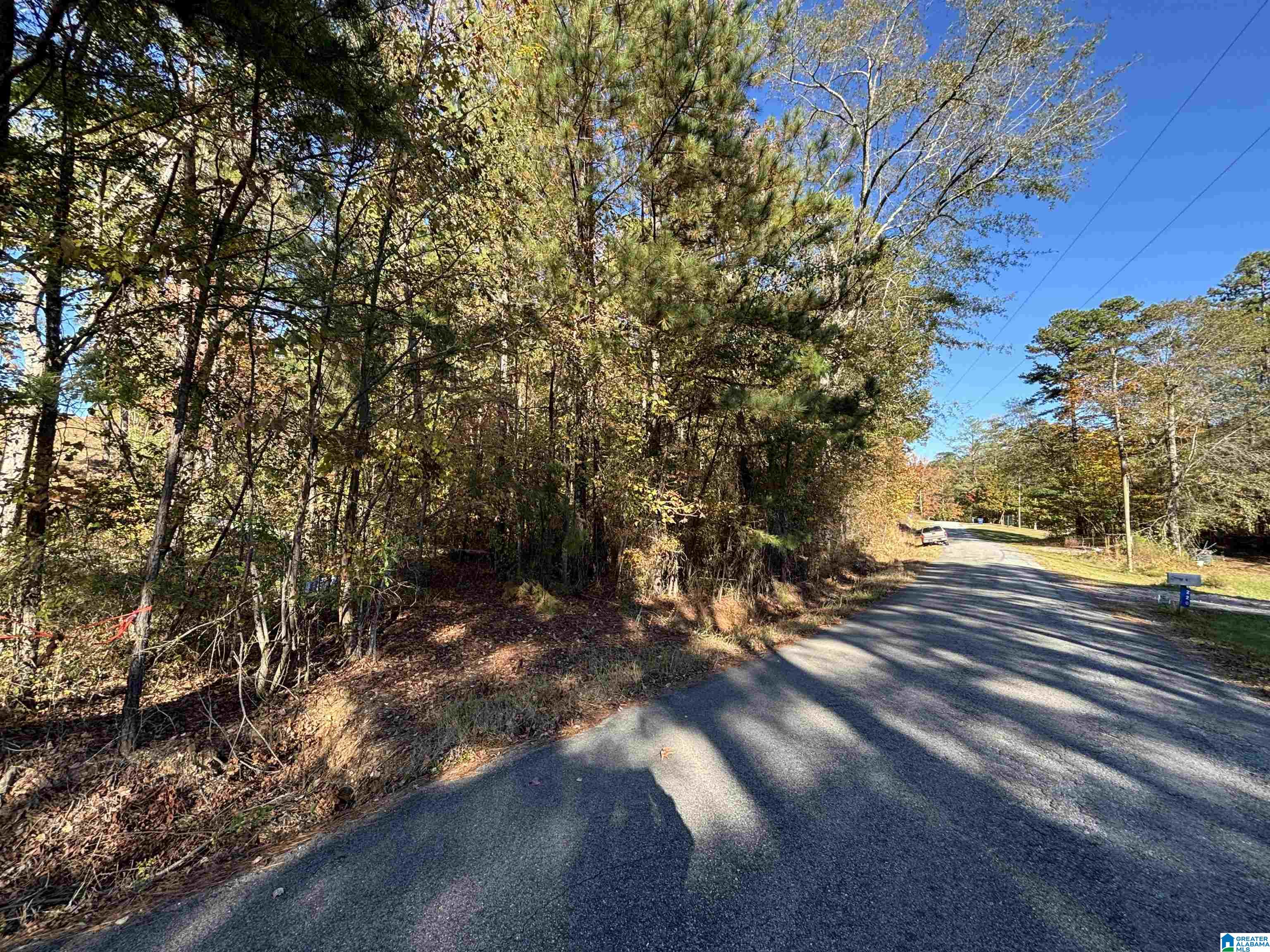 0 Waldrop Road, Unit 10 82 ACRES Ashville, AL 35953 - Photo 10 of 22