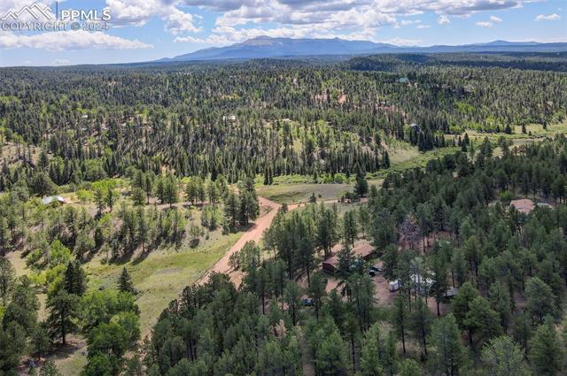 2259 Pathfinder Road Florissant, CO 80816 - Photo 33 of 33 Drone / aerial view with a mountain view