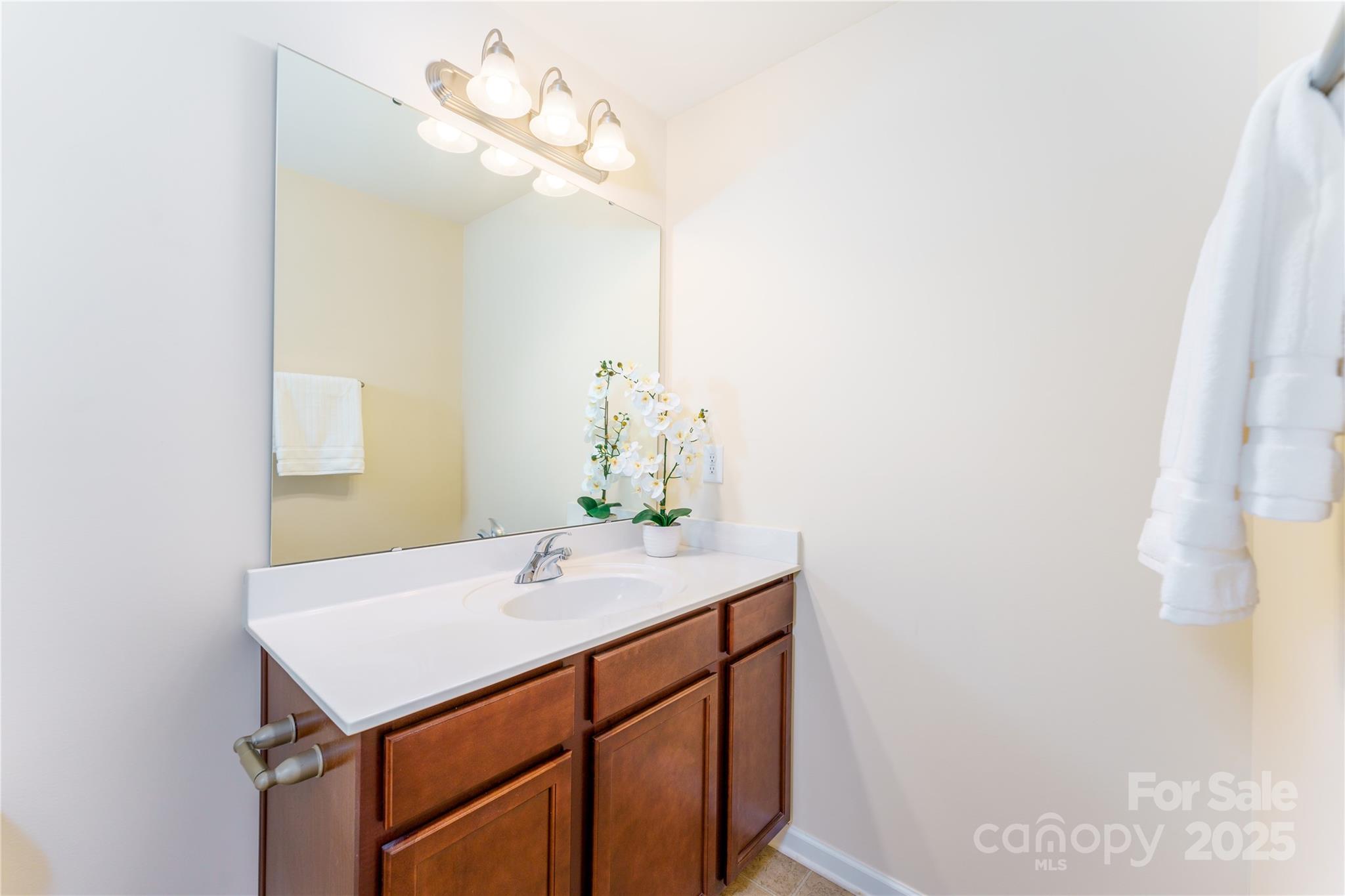 162 Limerick Road, Unit C Mooresville, NC 28115 - Photo 26 of 45 a bathroom with a sink and a mirror