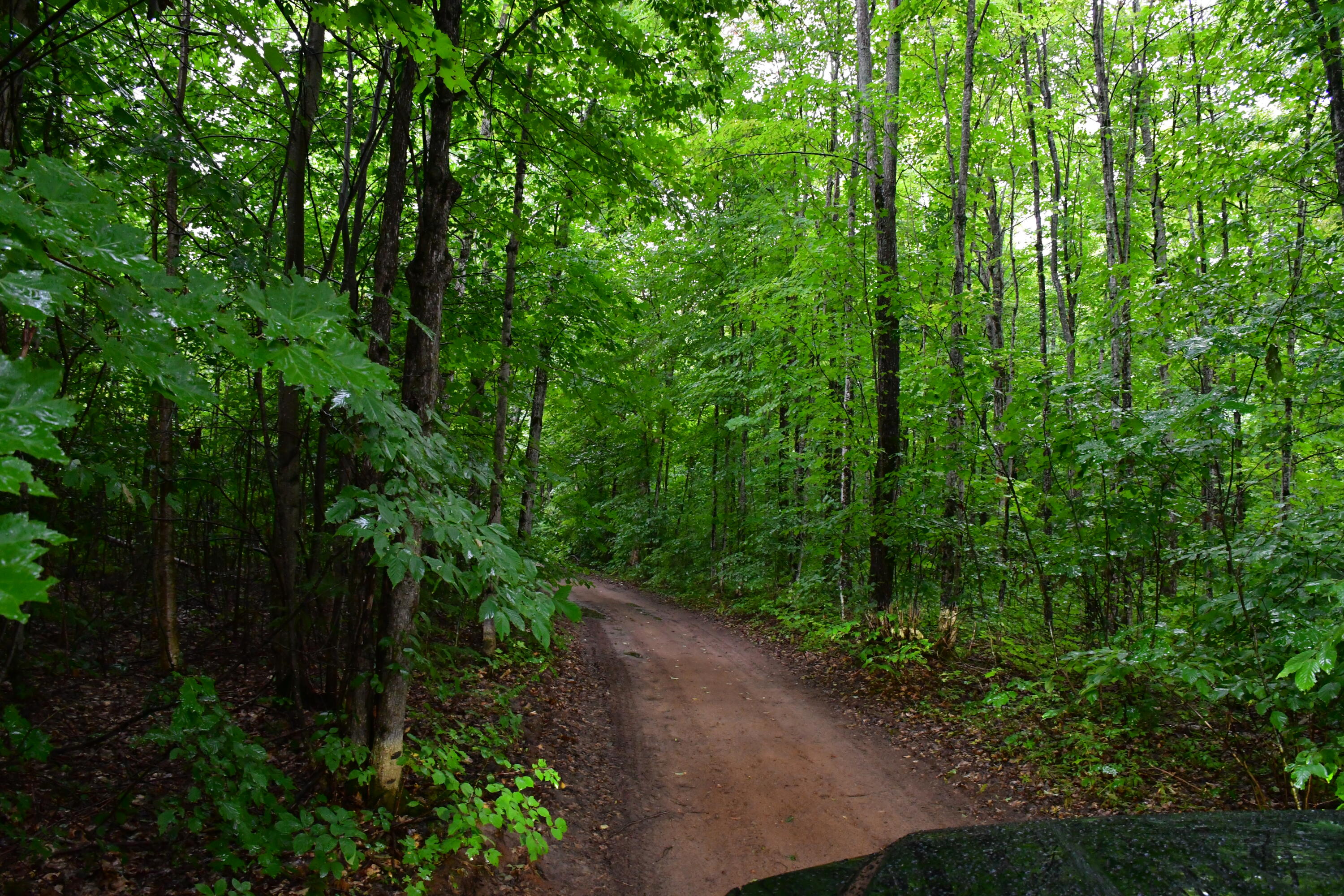 23 East 23 Mile Road Pickford, MI 49774 - Photo 22 of 27 Gallery Image 22