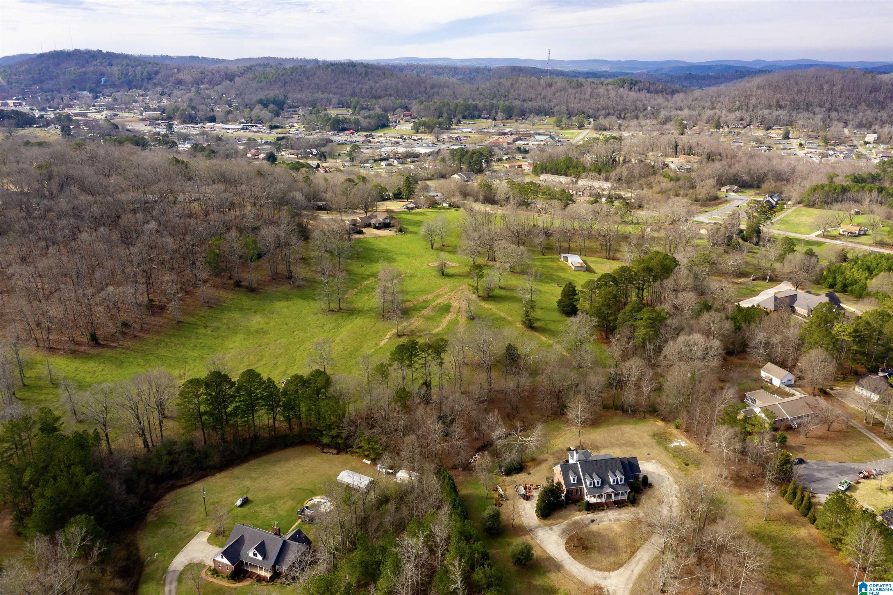 0 Valley Road Oneonta, AL 35121 - Photo 6 of 11 Gallery Image 6