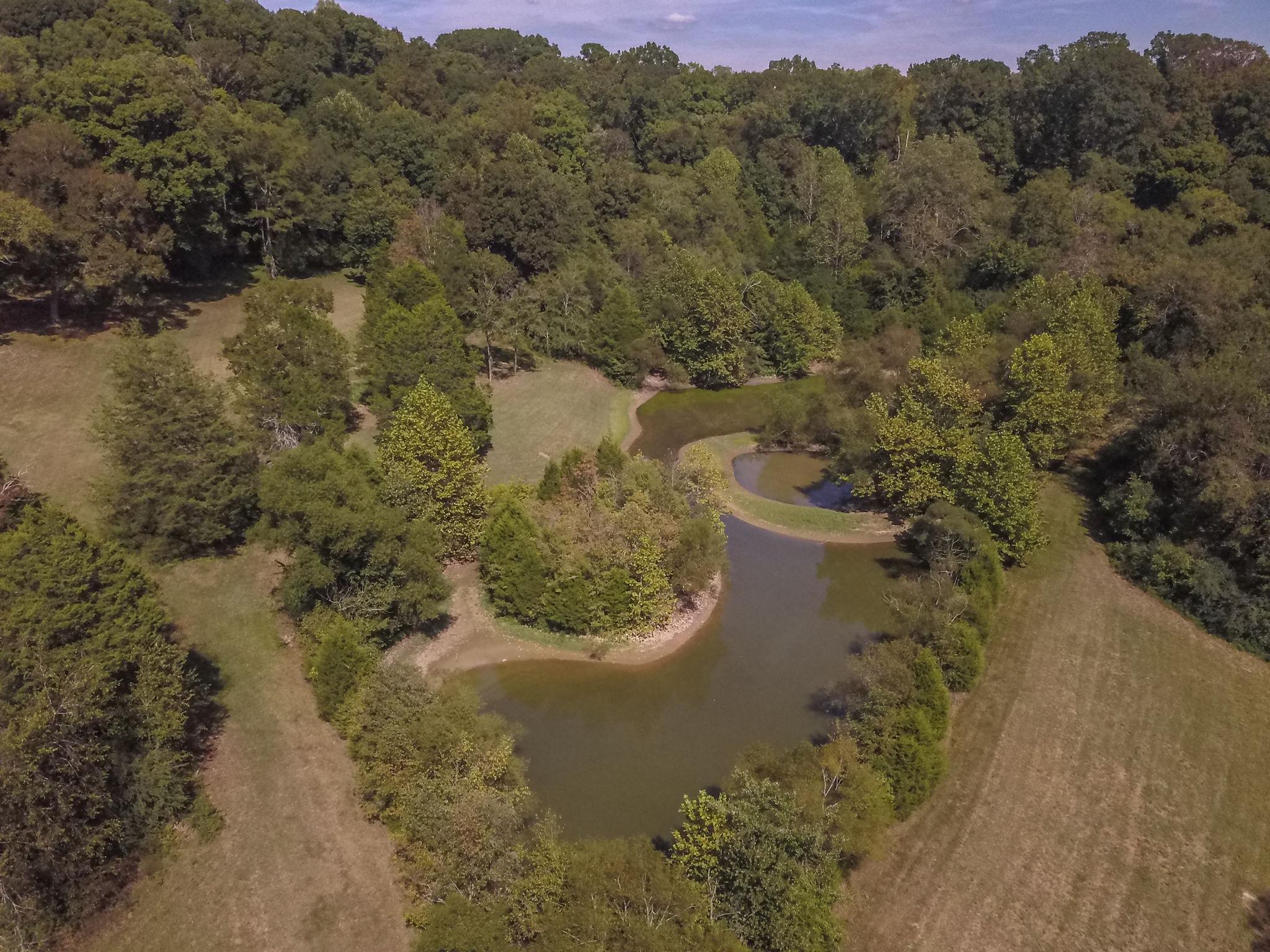 3360 Sweeney Hollow Road Franklin, TN 37064 - Photo 28 of 30 a view of a forest with a lake