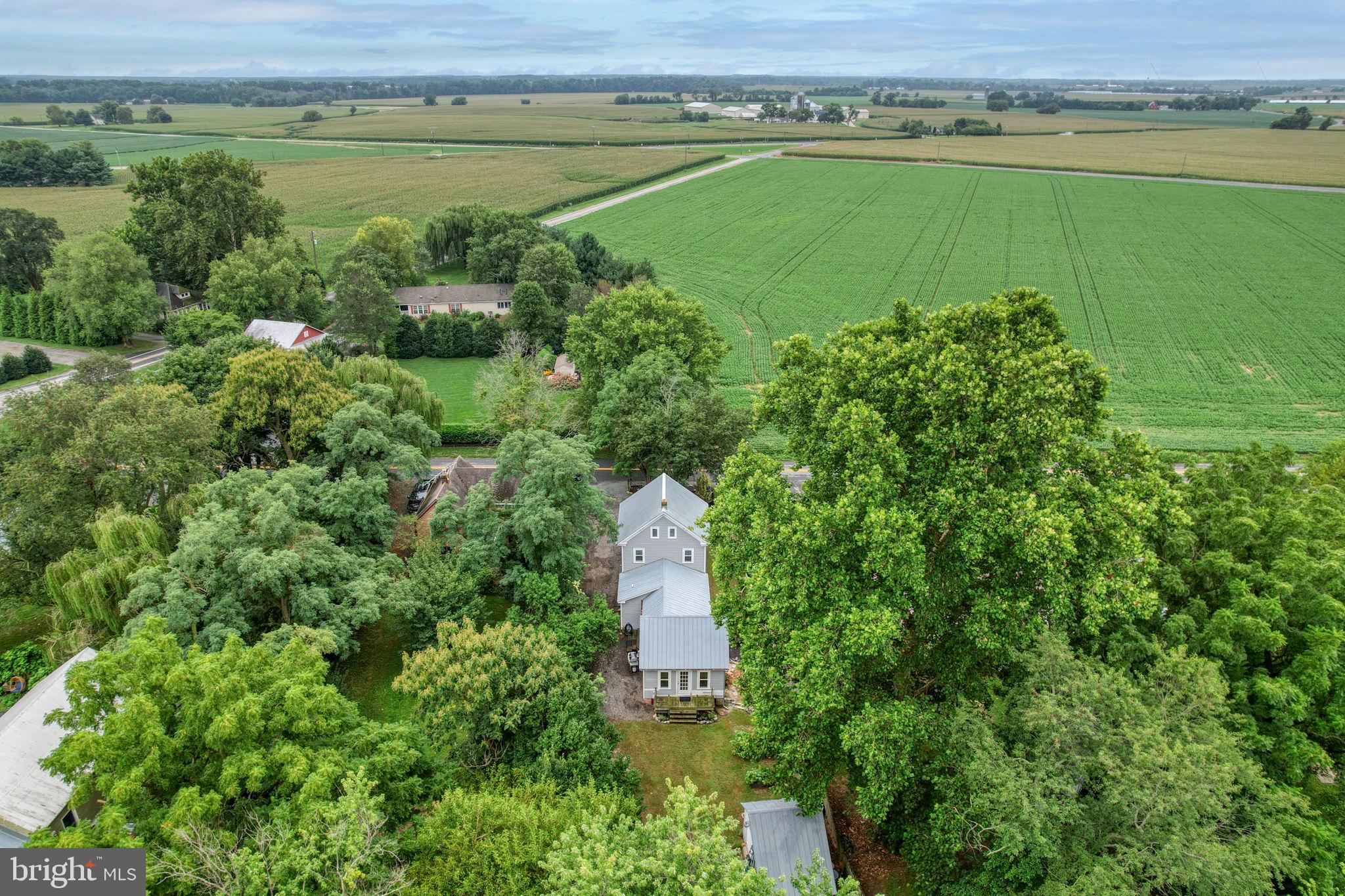 29380 Old Locust Grove Road Kennedyville, MD 21645 - Photo 4 of 42