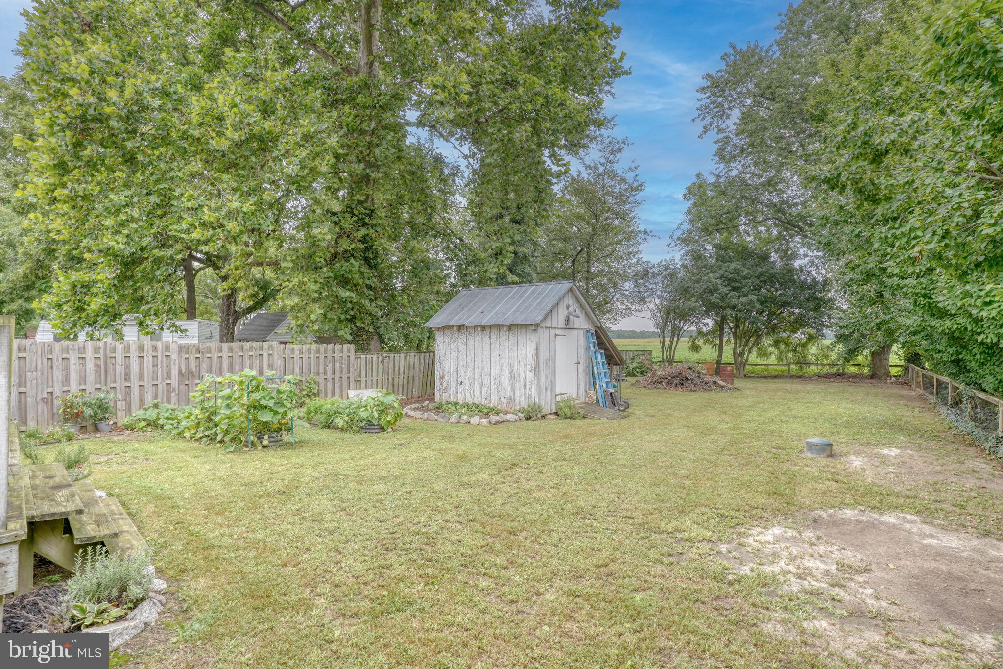 29380 Old Locust Grove Road Kennedyville, MD 21645 - Photo 10 of 42 Backyard