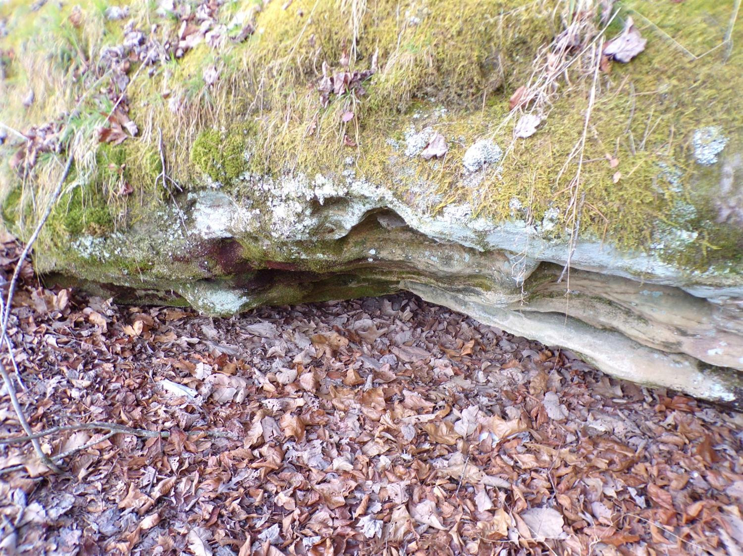4200 Forest Service Road London, KY 40744 - Photo 33 of 44 Photo 33