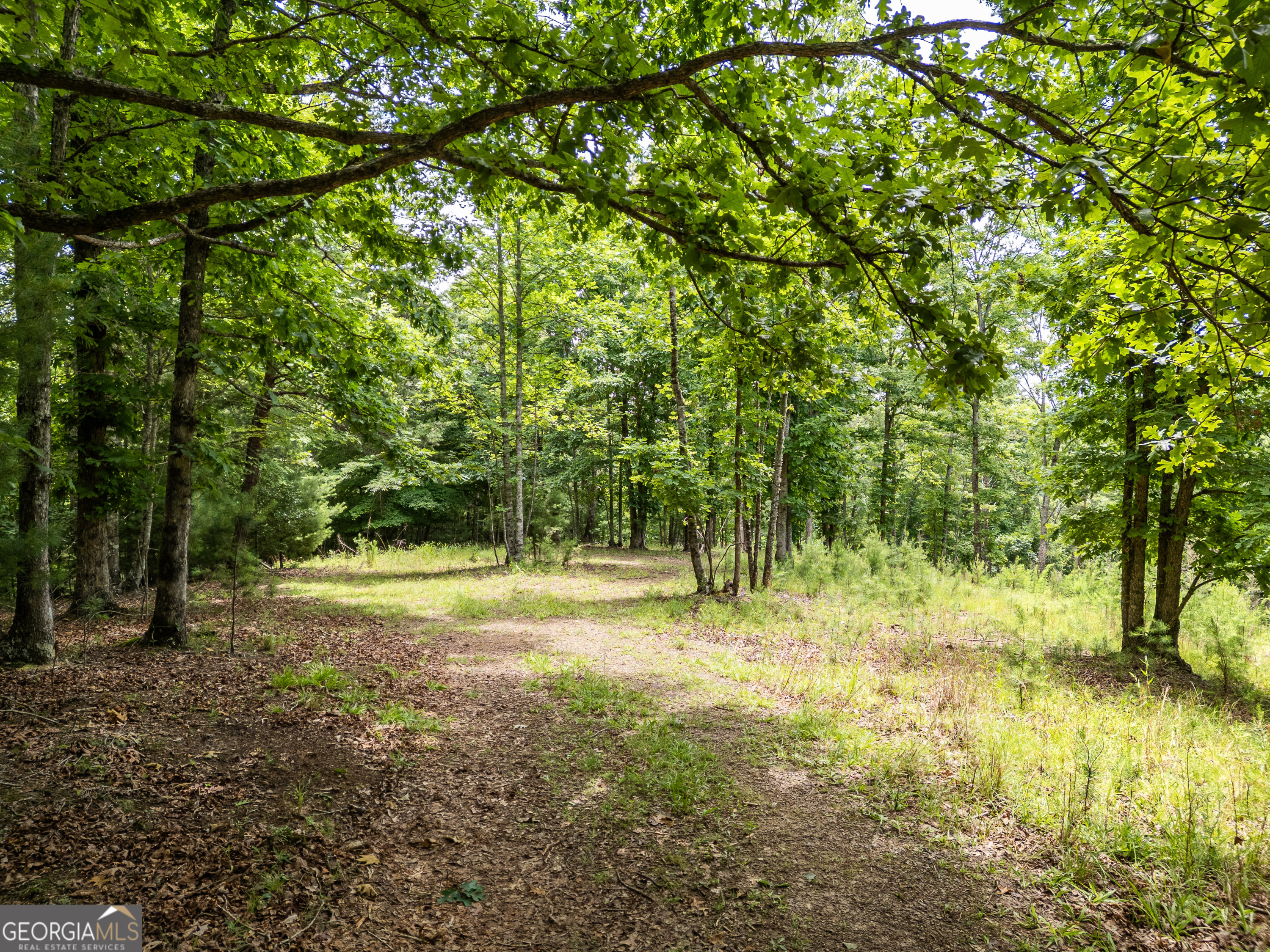 2 Stormy Ridge Brasstown, NC 28902 - Photo 1 of 16