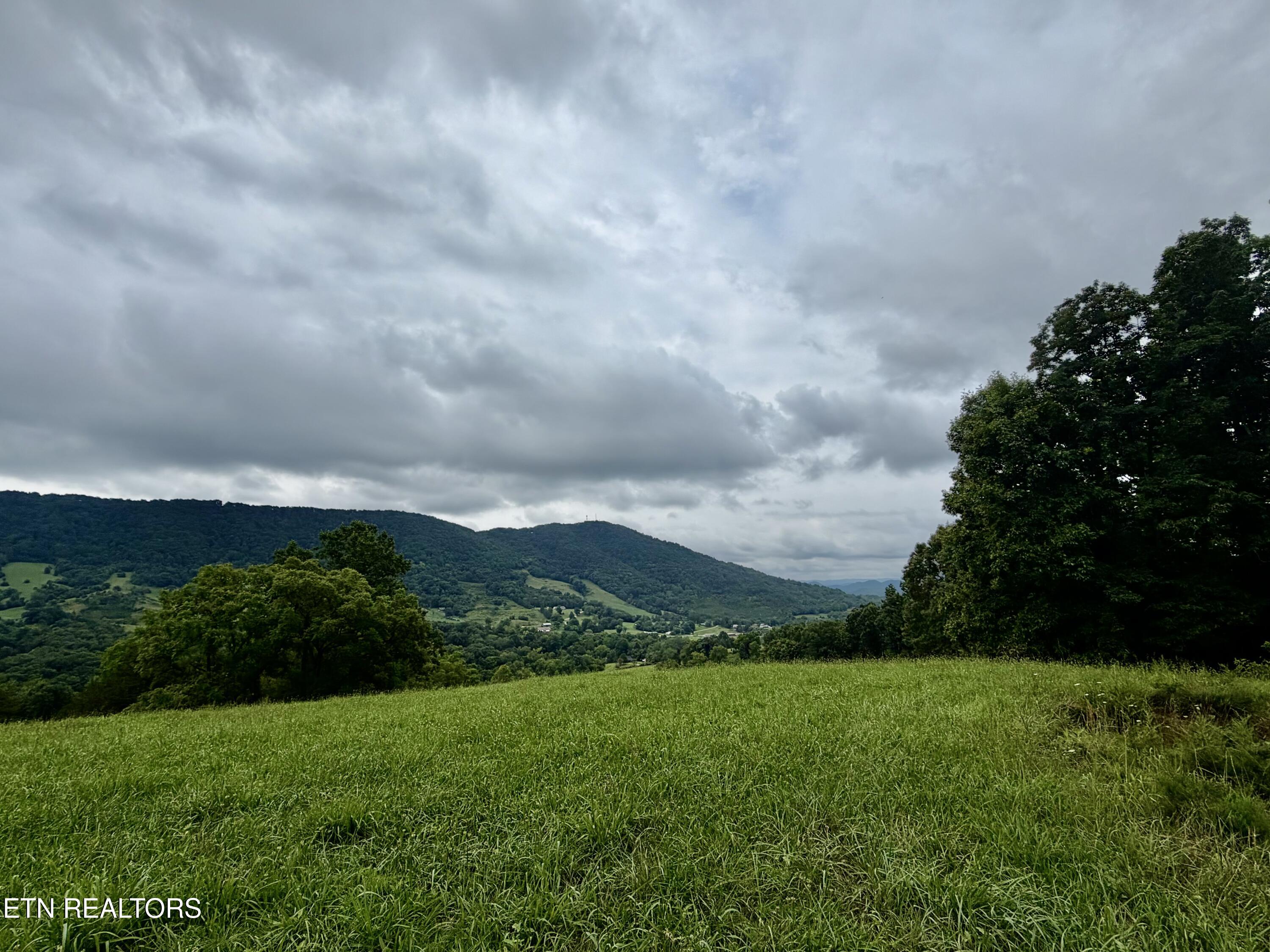 1545 Estes Road Tazewell, TN 37879 - Photo 16 of 34 IMG_5142