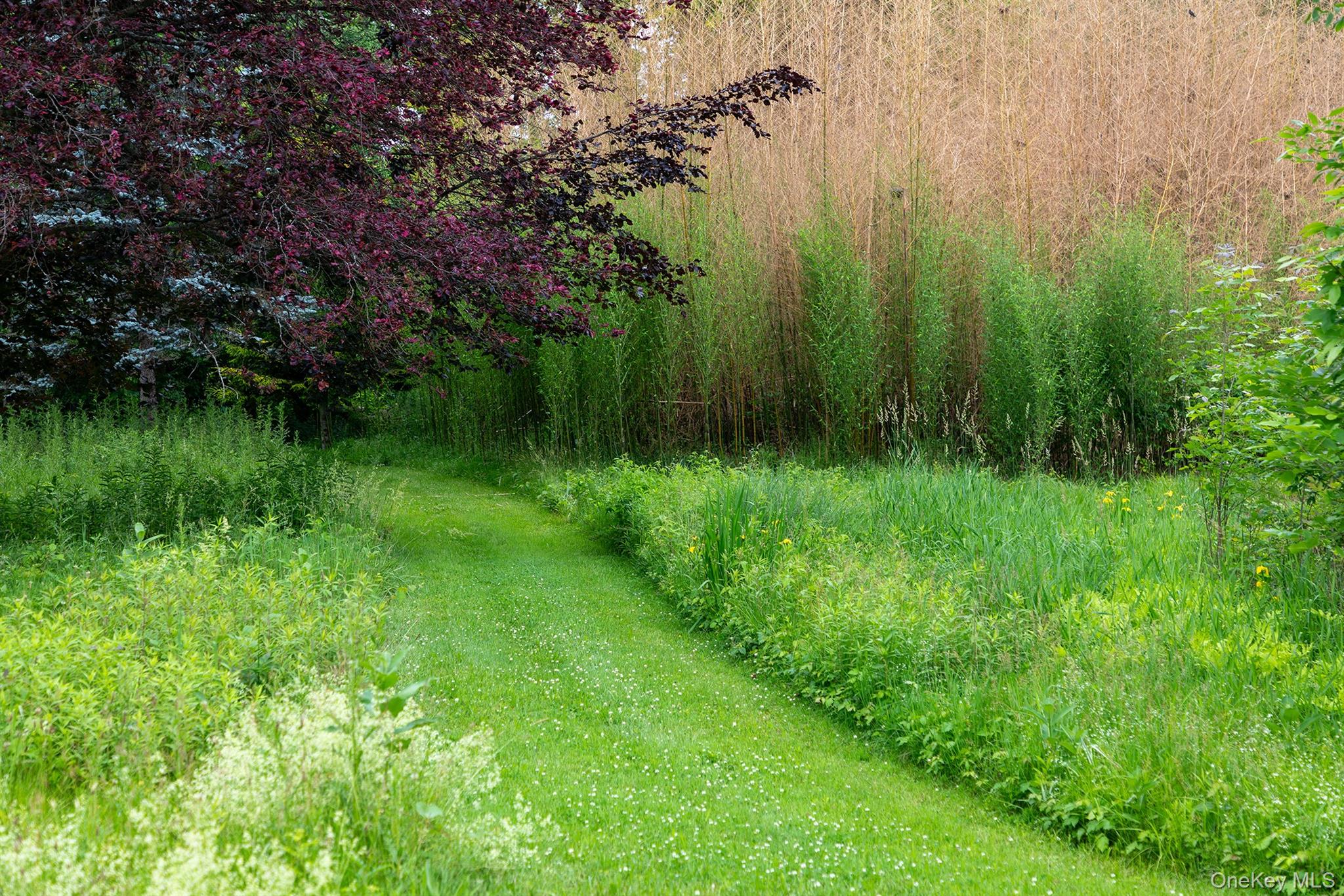 202 Buckwheat Road Hudson, NY 12534 - Photo 41 of 49 a view of a garden