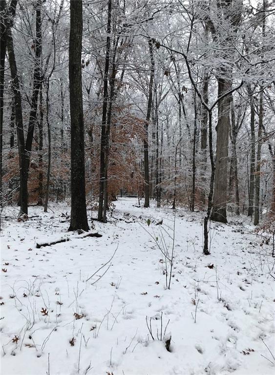 550 South Rays Road Stone Mountain, GA 30083 - Photo 11 of 18 a view of snow on the road