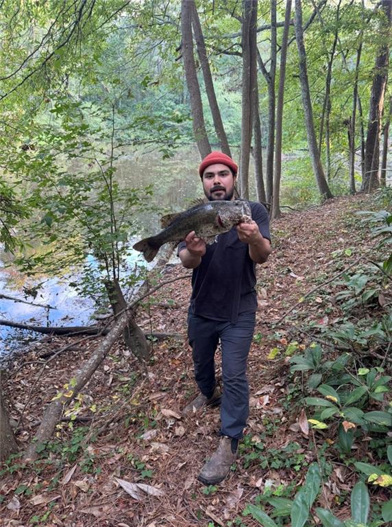 550 South Rays Road Stone Mountain, GA 30083 - Photo 14 of 18 a view of backyard with green space