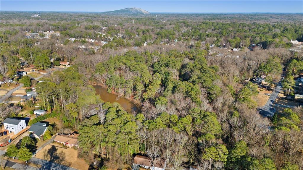 550 South Rays Road Stone Mountain, GA 30083 - Photo 3 of 18 a view of a city with lush green forest