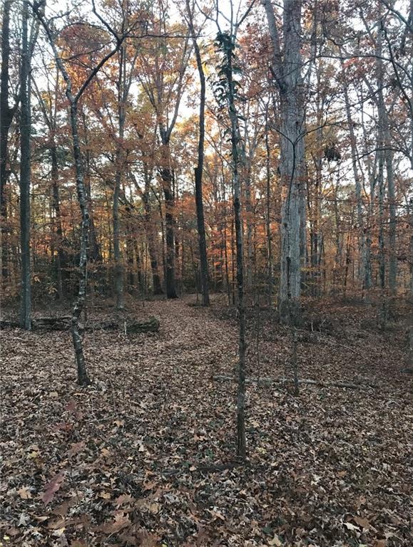 550 South Rays Road Stone Mountain, GA 30083 - Photo 9 of 18 a view of a yard with trees in the background