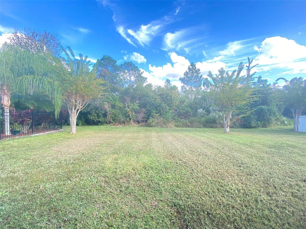 3113 Curving Oaks Way Orlando, FL 32820 - Photo 44 of 44