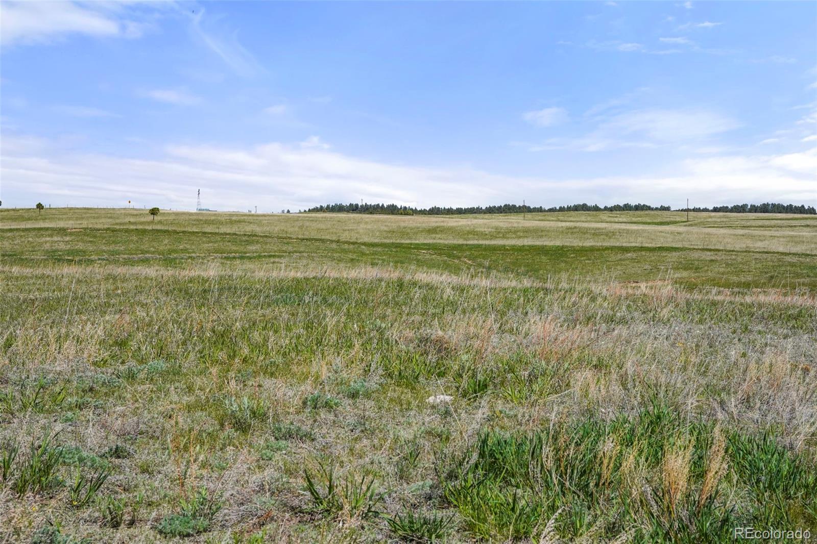 Walker Road Colorado Springs, CO 80908 - Photo 10 of 15 Gallery Image 10
