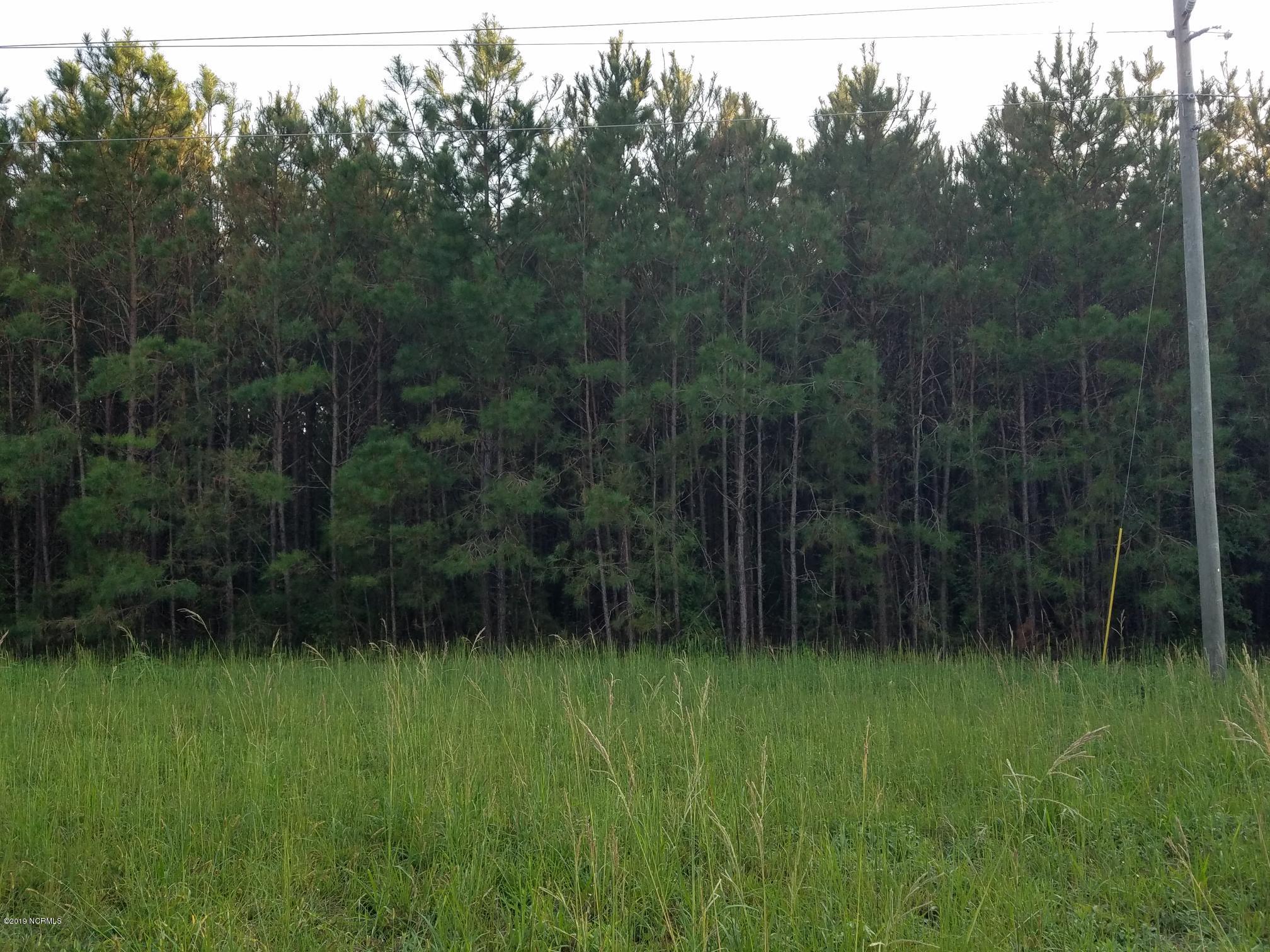 9.56-ac Calabash Road Northwest Calabash, NC 28467 - Photo 6 of 19 20190929_174954(1)