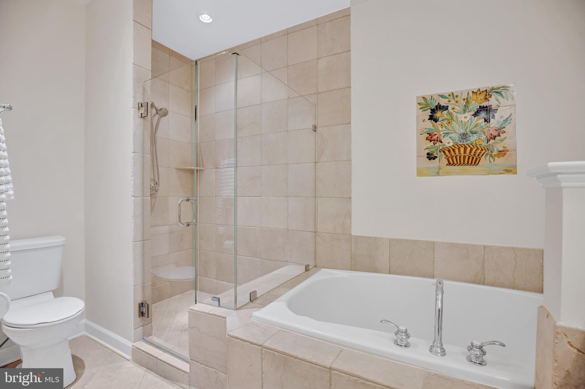 1820 Carpenter Road Alexandria, VA 22314 - Photo 35 of 80 a bathroom with a bathtub and a toilet