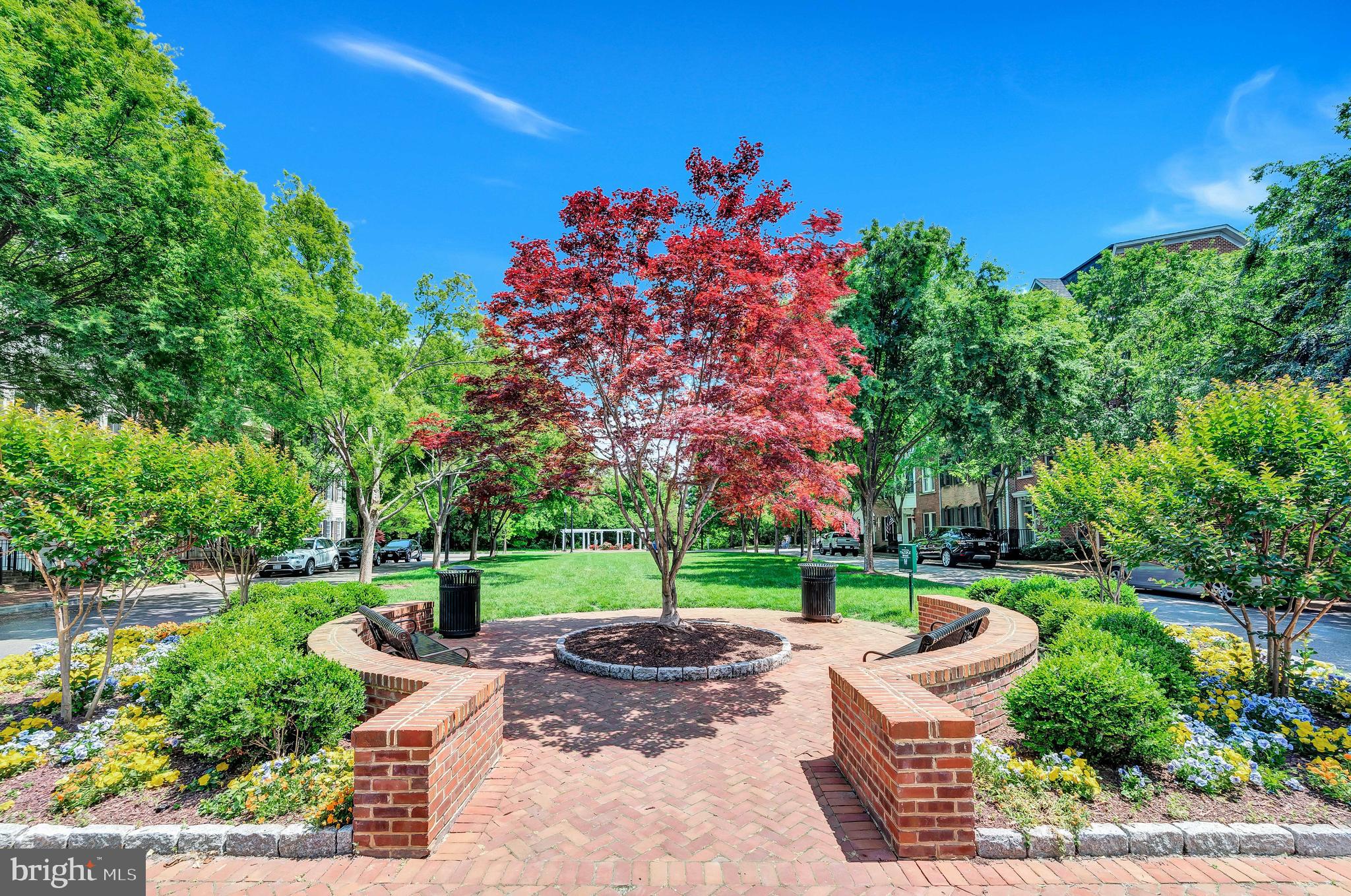 1820 Carpenter Road Alexandria, VA 22314 - Photo 52 of 80 a view of a garden with a bench in a garden
