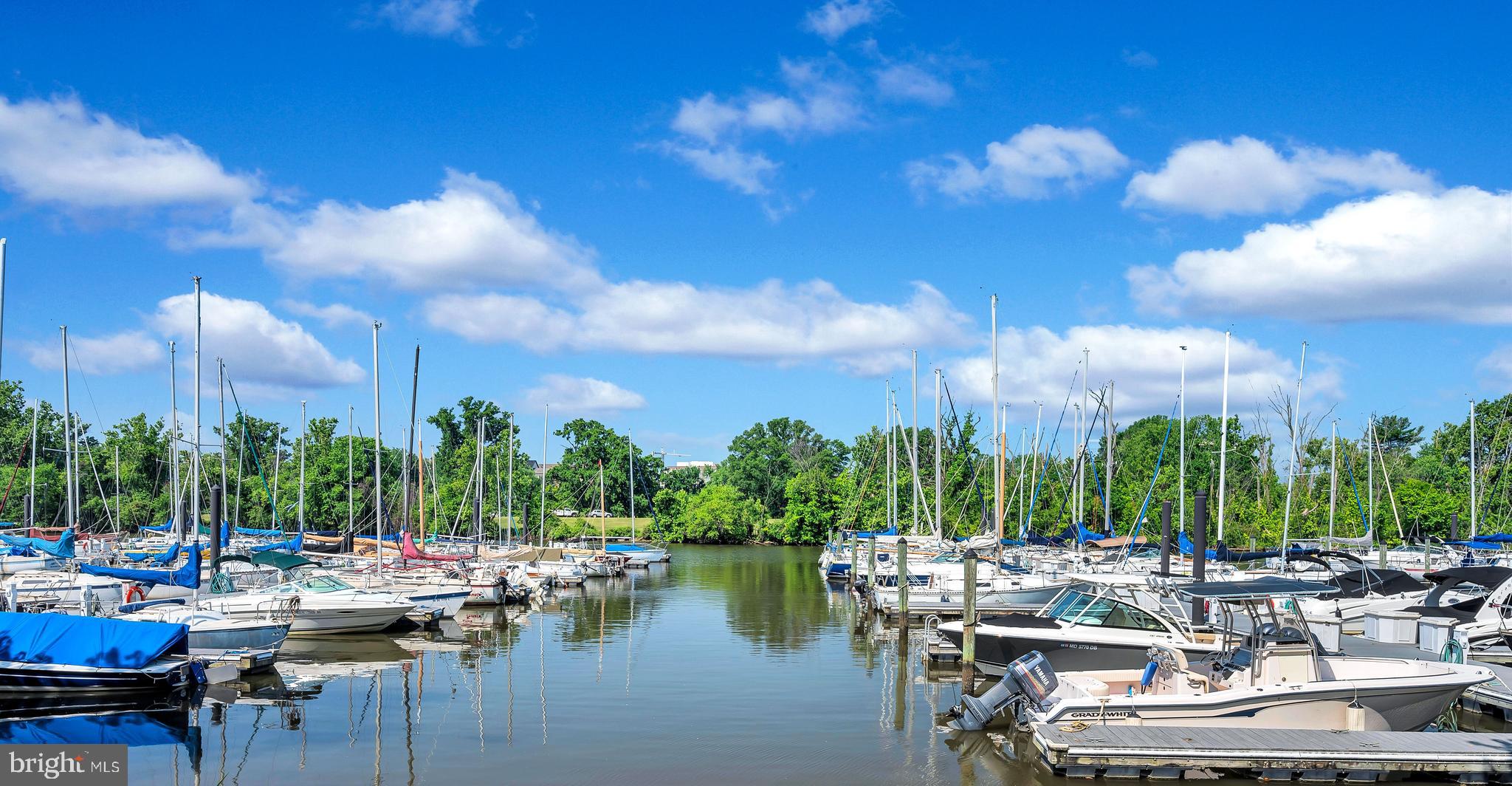 1820 Carpenter Road Alexandria, VA 22314 - Photo 69 of 80 Daingerfield Island Marina