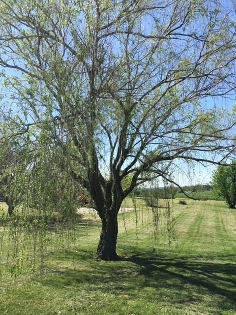9150 South Voyles Road Pekin, IN 47165 - Photo 10 of 36 Gallery Image 10