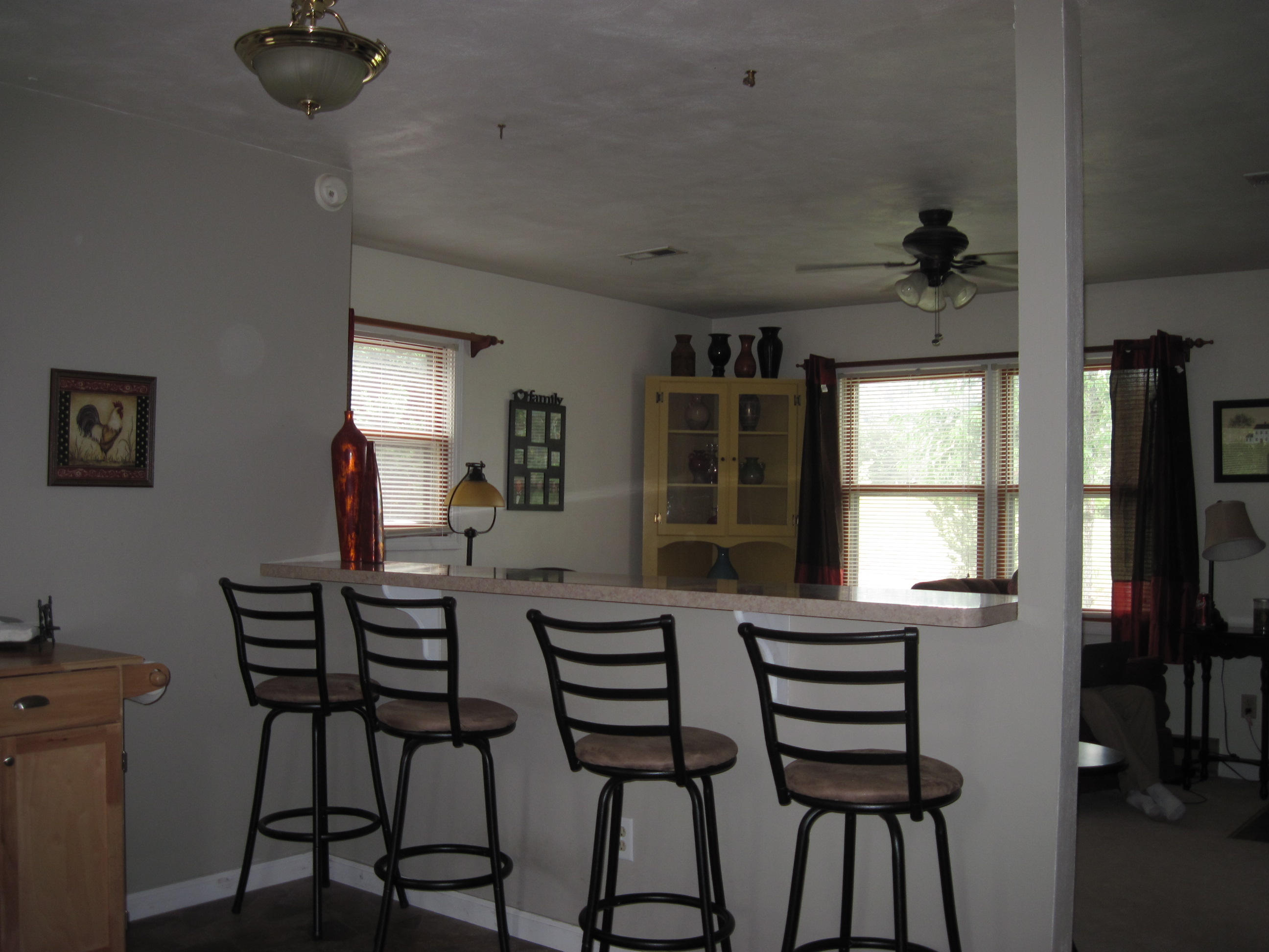 2599 Timber Ridge Buchanan, VA 24066 - Photo 44 of 57 017