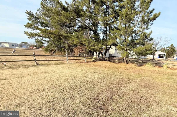 a view of yard with trees