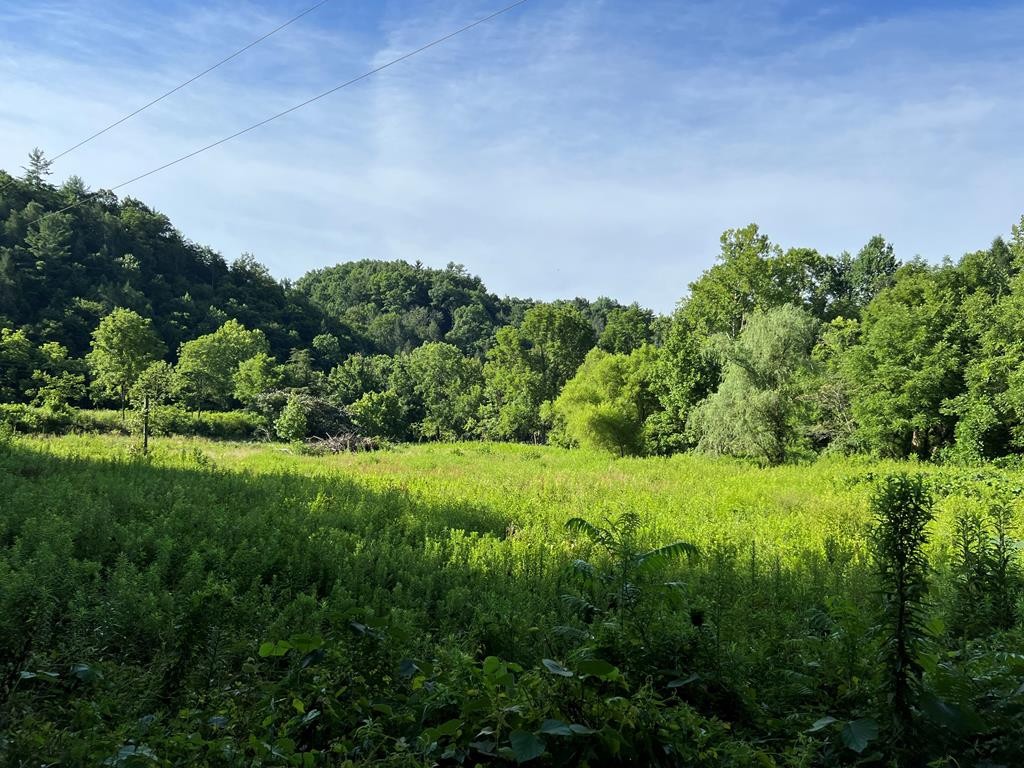 4993 Bogard Road Cosby, TN 37722 - Photo 18 of 40