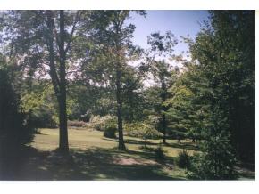 2450 Jensen Road Brackney, PA 18812 - Photo 4 of 5