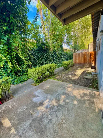 a view of a backyard with plants