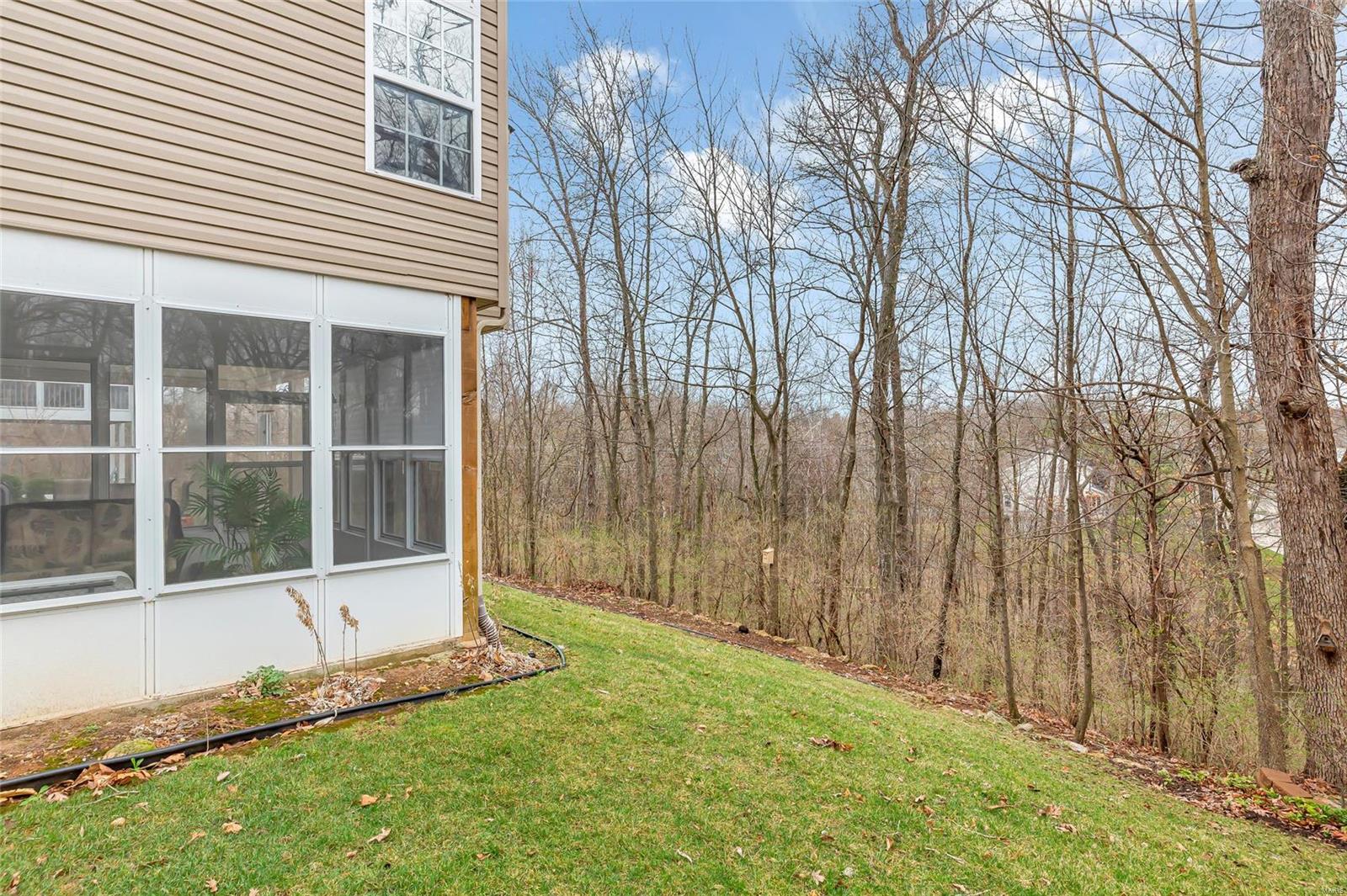 932 Ridgepointe Pl Circle Lake St. Louis, MO 63367 - Photo 49 of 60