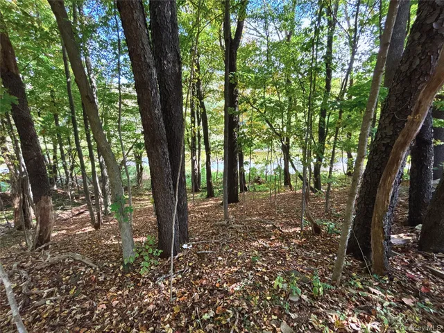 $48,000 | 47202 Highway 10, Delhi, NY 13753