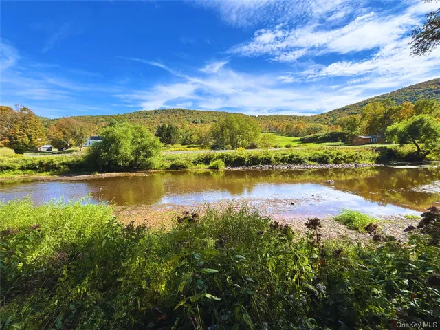 $48,000 | 47202 Highway 10, Delhi, NY 13753