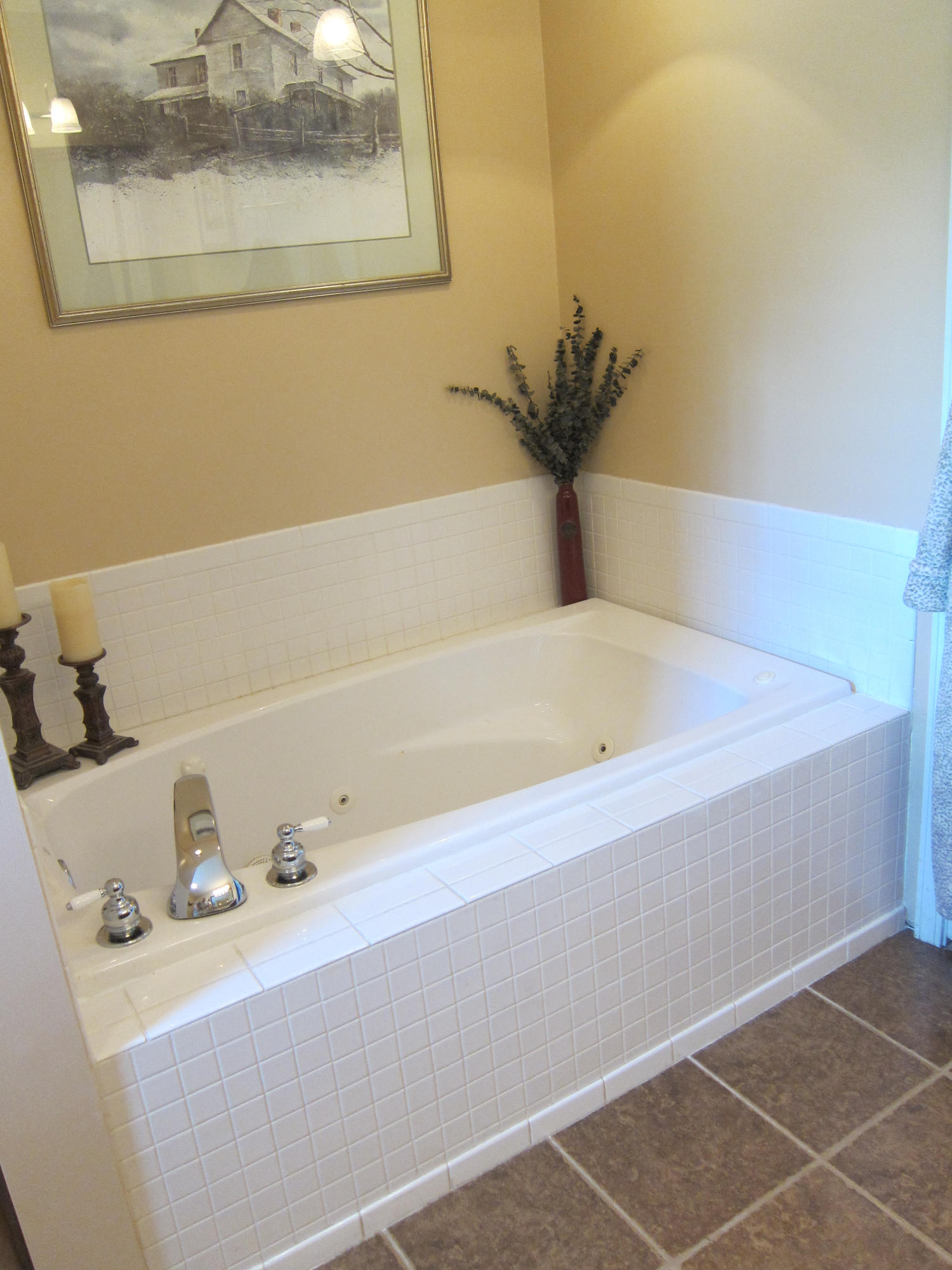 1023 North Old Grey Ridge Road Friendsville, TN 37737 - Photo 15 of 32 Jetted tub