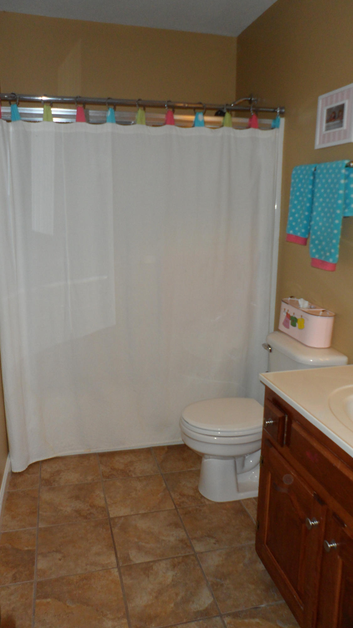 1023 North Old Grey Ridge Road Friendsville, TN 37737 - Photo 16 of 32 Hall Bath