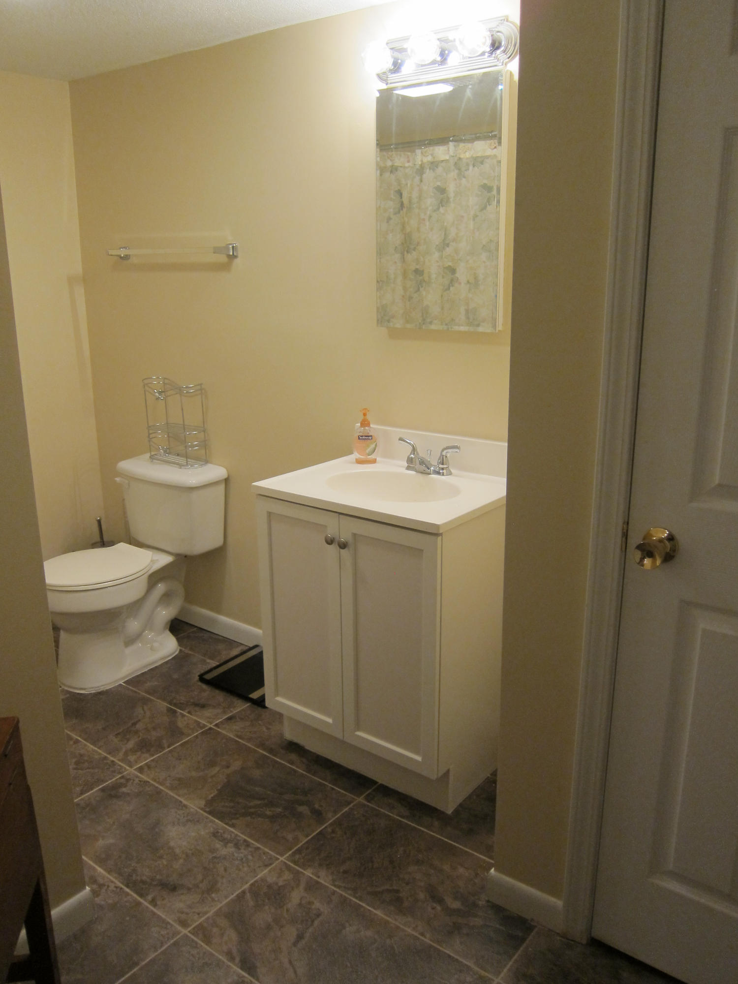 1023 North Old Grey Ridge Road Friendsville, TN 37737 - Photo 24 of 32 Basement full bath