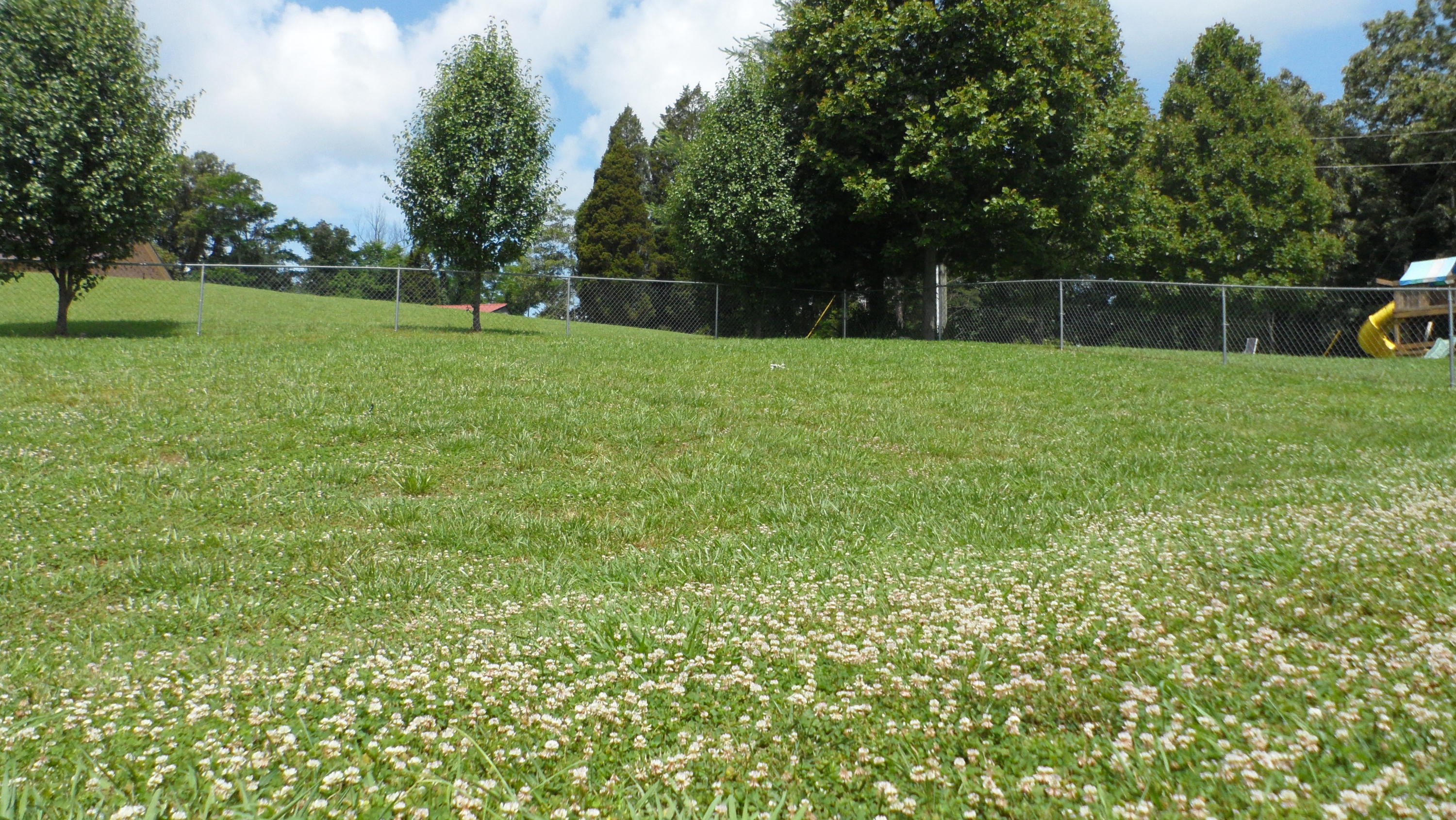 1023 North Old Grey Ridge Road Friendsville, TN 37737 - Photo 30 of 32 Large fenced yard
