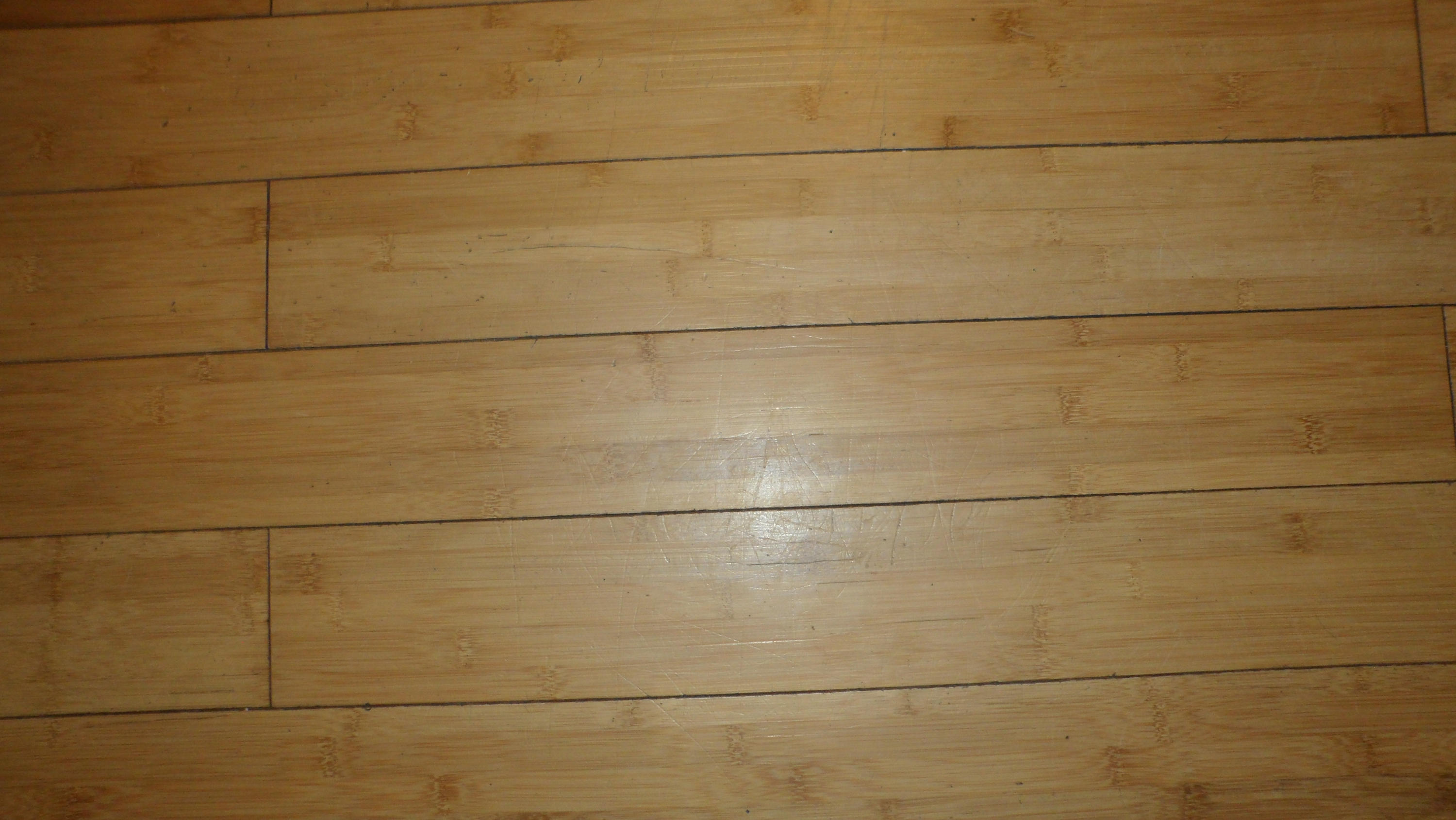 1023 North Old Grey Ridge Road Friendsville, TN 37737 - Photo 32 of 32 Bamboo flooring