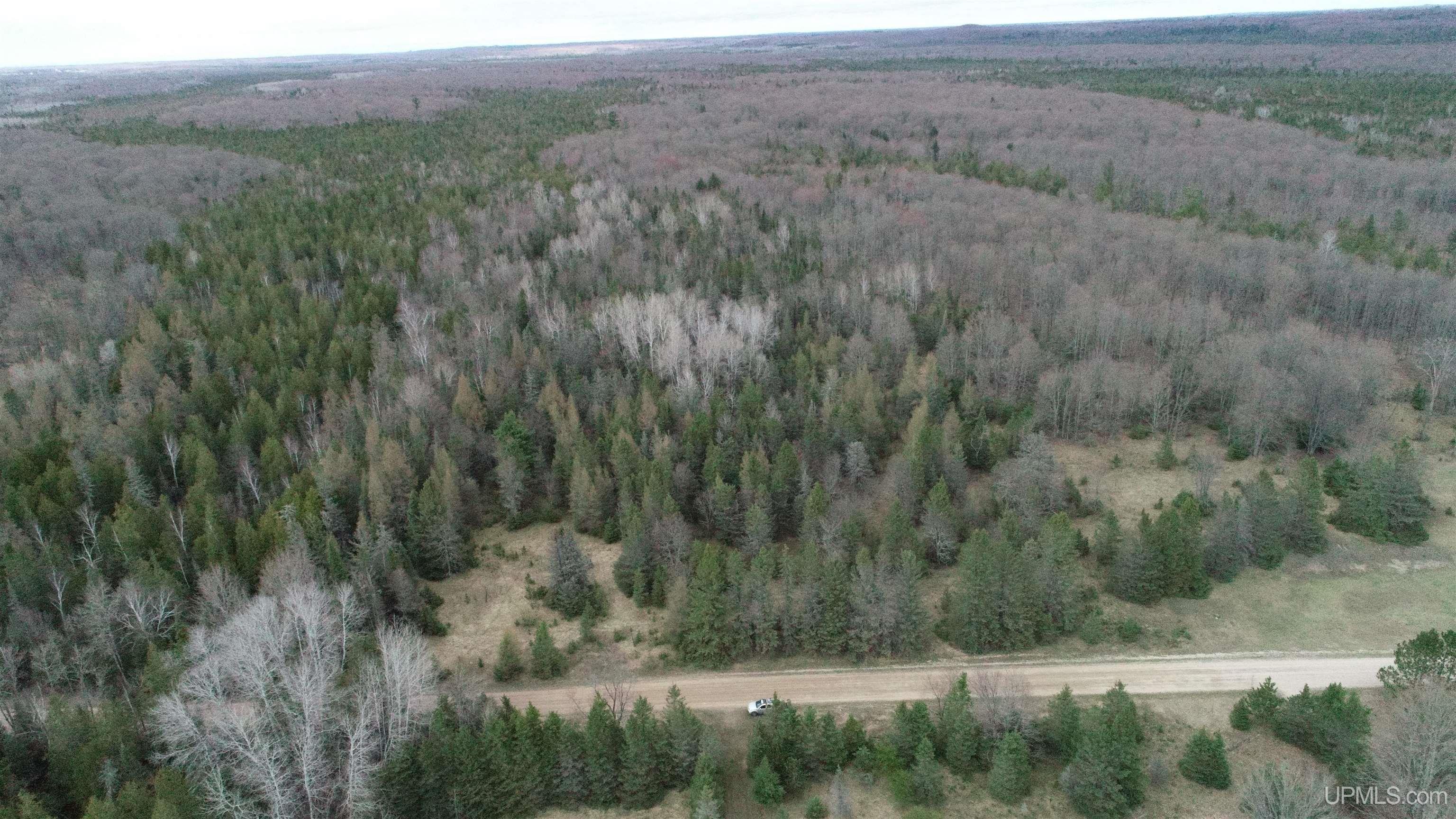 Tbd 38 Road Rapid River, MI 49878 - Photo 2 of 5