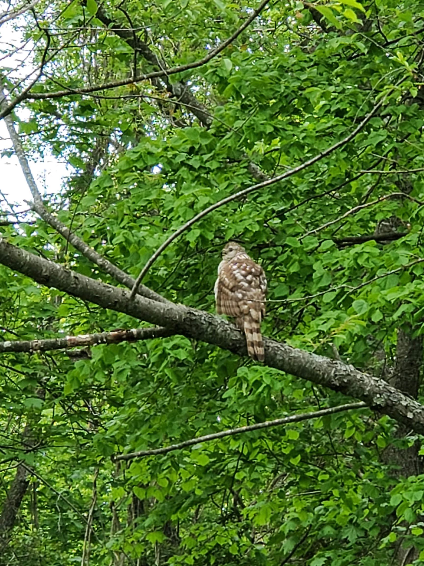 281 Old County Lane Readsboro, VT 05350 - Photo 46 of 51