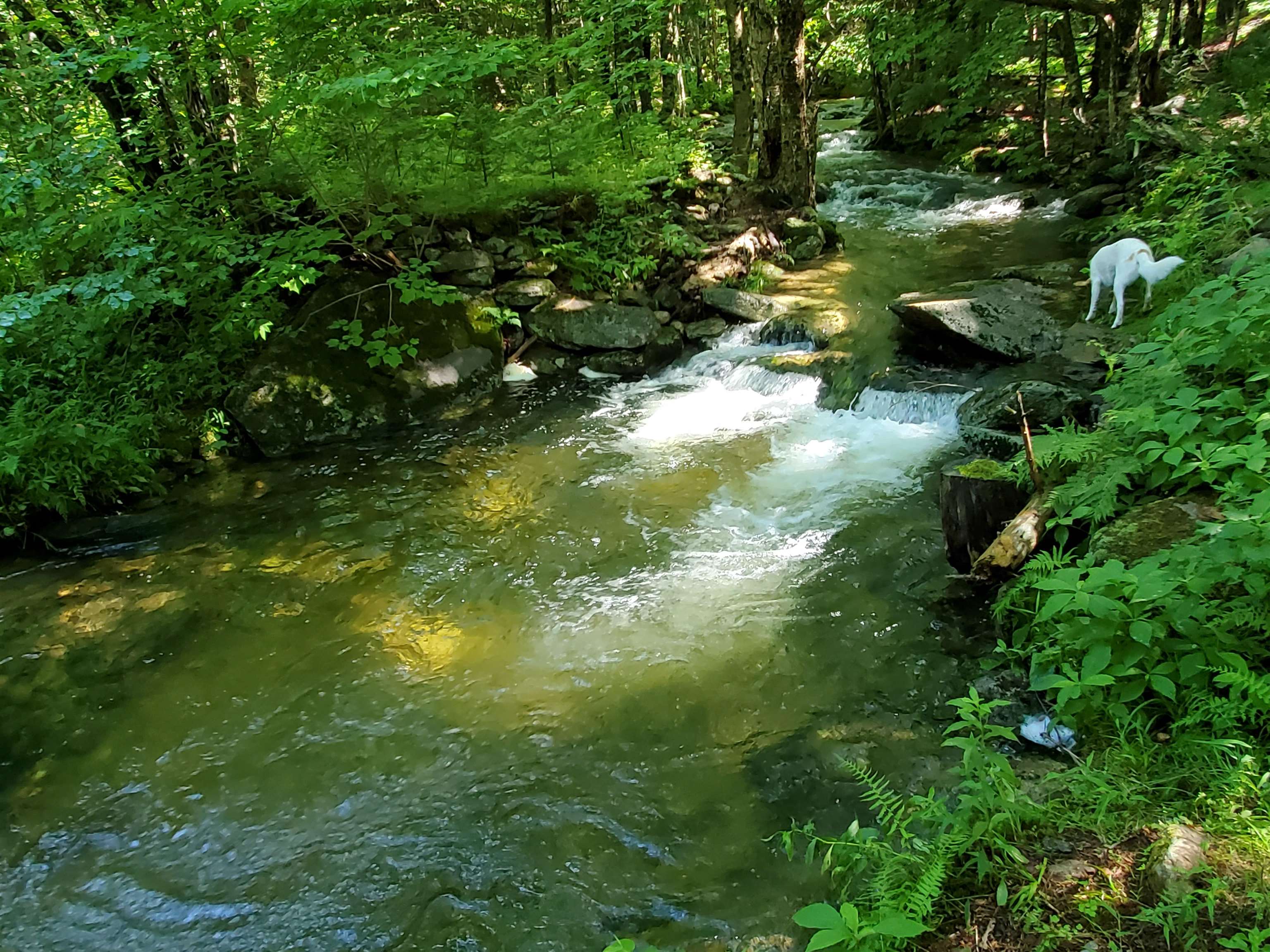 281 Old County Lane Readsboro, VT 05350 - Photo 48 of 51