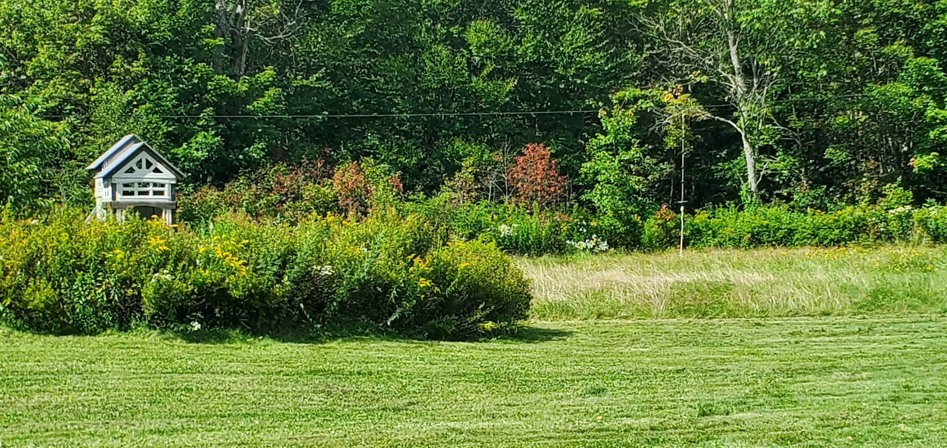 281 Old County Lane Readsboro, VT 05350 - Photo 49 of 51