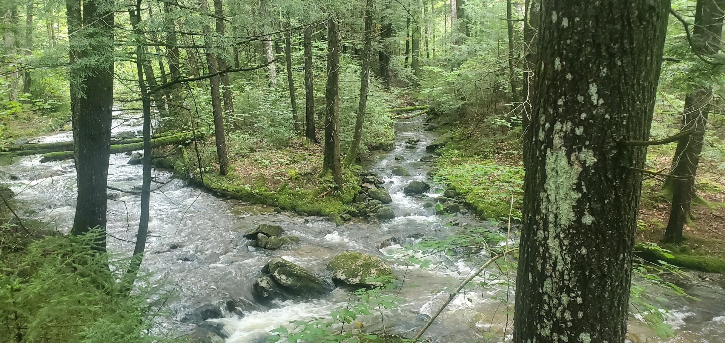 281 Old County Lane Readsboro, VT 05350 - Photo 50 of 51